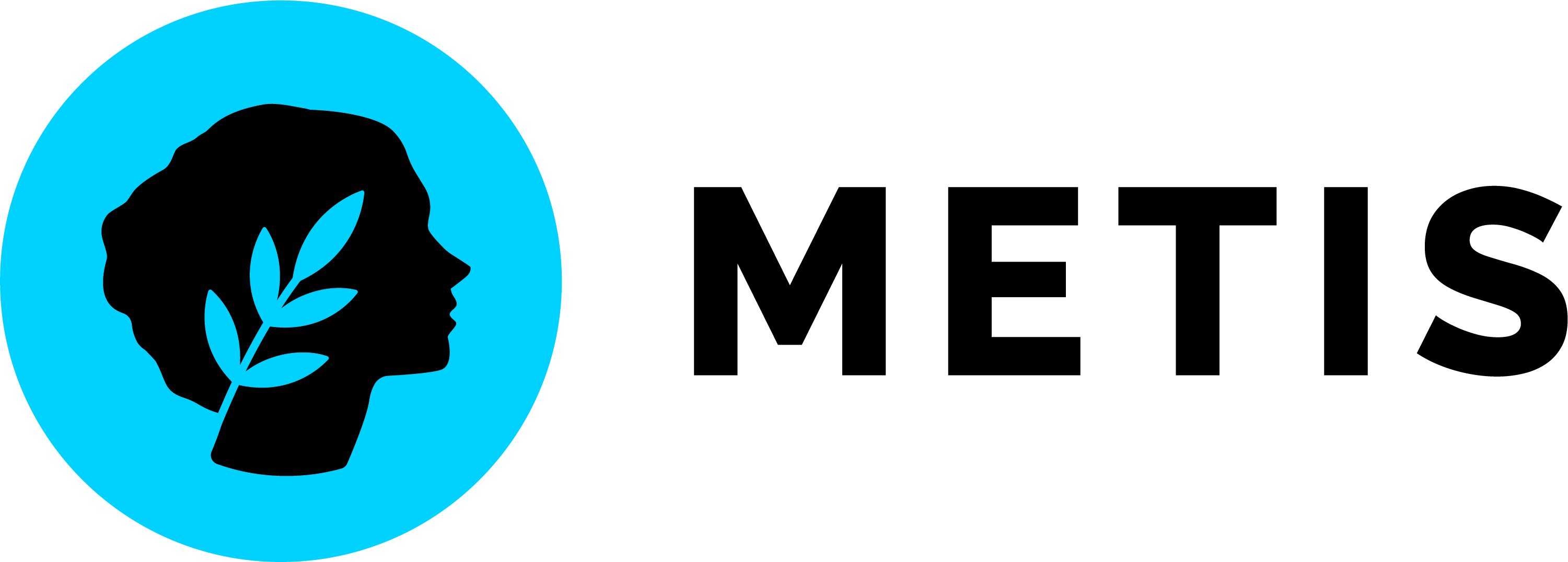 MetisL2